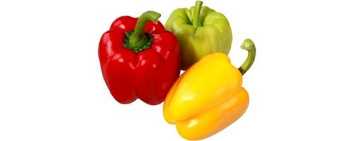 bell peppers in many colors